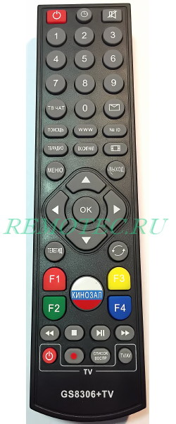 ����� General Satellite GS8306+TV (�������������)